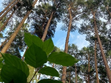 20250809_181634.jpg