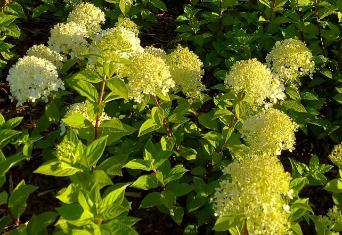 Забота и любовь