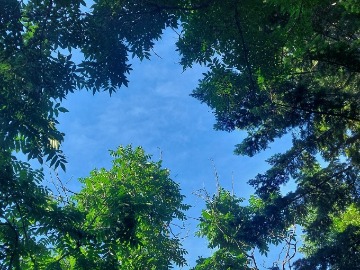 20250704_185715.jpg
