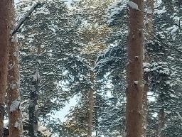 Берегите себя