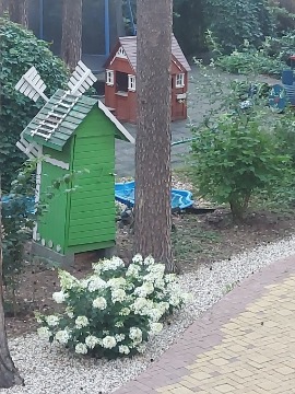 20250810_194031.jpg