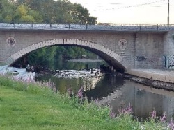 20250721_203958.jpg